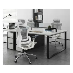 Fotel gamingowy SIHOO Doro C300 PRO Biały