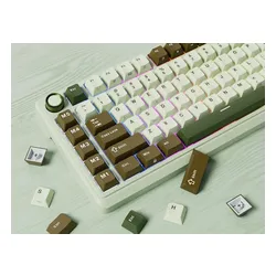 Klawiatura ROYAL KLUDGE L75 Palm Green Beige Switch
