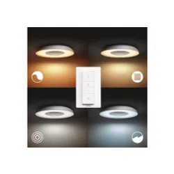 Lampa sufitowa Philips Hue White Ambiance Still 929003055401 Srebrny