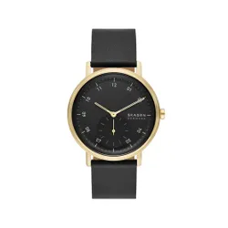 Часы Skagen Kuppel Skw6896 Gold / Black