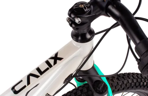 Rower dziecięcy SUN BABY Verdant Calix 20 dla dziewczynki Biało-różowo-miętowy