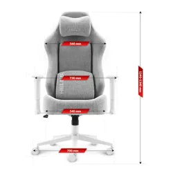 Fotel gamingowy HELL'S CHAIR HC 1009 Biało-szary