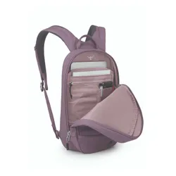 Рюкзак Osprey Arcane Small Day-purple dusk heather