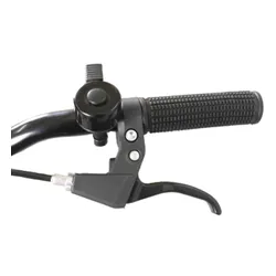 Rower dziecięcy INDIANA Figo 20 cali dla dziewczynki Różowy