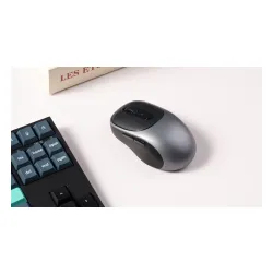 Myszka Keychron BM24-C61 Czarno-Szary
