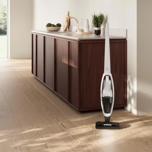 Пылесос Electrolux ES52CB18SH 45мин