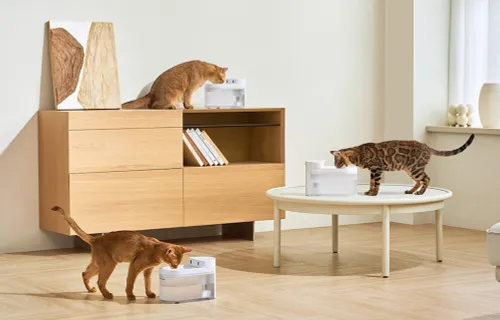 Fontanna dla zwierząt CATLINK Pure 3 CL-WB-01