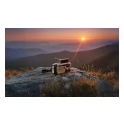 Radioodbiornik Blaupunkt ER10DC SURVIVAL Beżowy