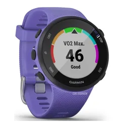 Смарт-часы Garmin Forerunner 45S ирис (010-02156-11)