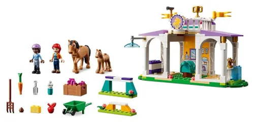 Конструктор LEGO Friends 41746 обучение лошадей