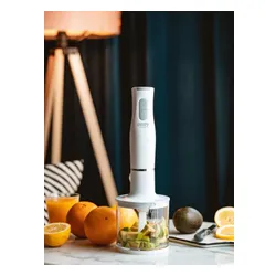 Blender CAMRY CR 4626