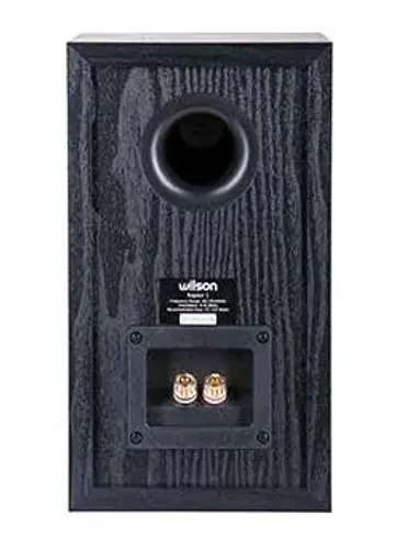 Kolumny Wilson Raptor 1 Czarny 2szt.