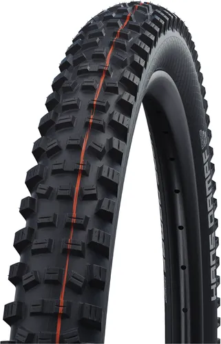 SCHWALBE Hans Dampf Evolution Lastikleri