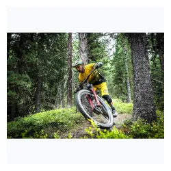 Kask rowerowy Endura MT500 MIPS olive green