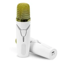 Zestaw karaoke MUSICMATE MM-SC355 Chargetunes