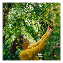 Sekator nożycowy L Fiskars X-series P961