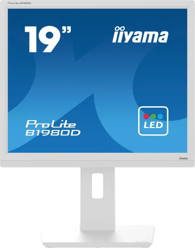 Monitor iiyama ProLite B1980D-W5 19" HD TN 60Hz 5ms