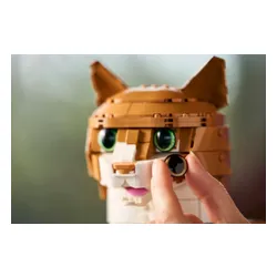 LEGO 21376 Ideas - Rudy kot