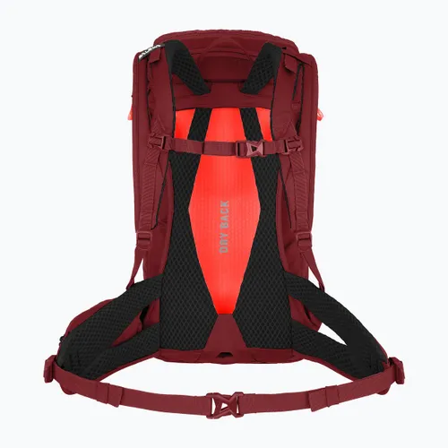 Plecak turystyczny damski Salewa Alp Trainer 20 WS - syrah