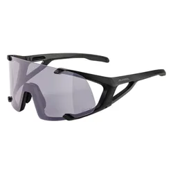 Okulary fotochromowe ALPINA Hawkeye Q-Lite V