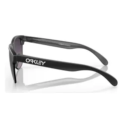 Okulary rowerowe OAKLEY Frogskins Lite PRIZM Grey