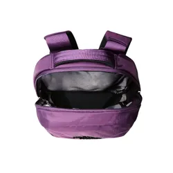 Рюкзак The North Face Borealis Mini - Blackcurrant purple / tnf black