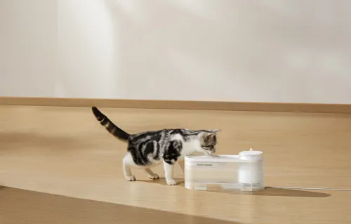 Fontanna dla zwierząt MOVA WF10 Pro