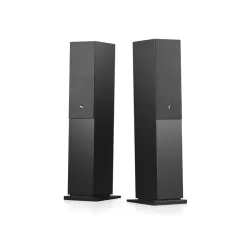 Głośnik multiroom Audio Pro A48 W Czarny 2szt.
