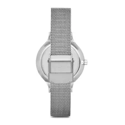 Skagen Anita Skw2149 Gümüş / Çelik / Gümüş / Çelik Saatler