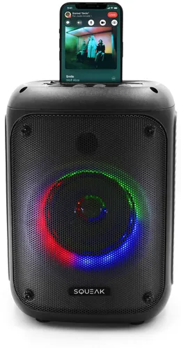 Głośnik mobilny SQUEAK Beatflow Radio FM Czarny