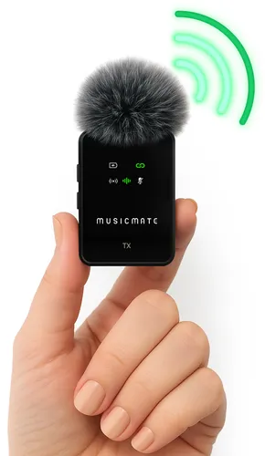 Mikrofon MUSICMATE EchoStream MM-130