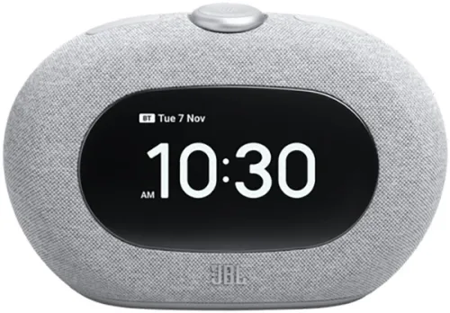 Głośnik Bluetooth JBL Horizon 3 10W Szary