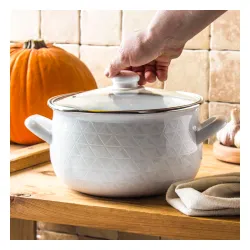 Garnek emaliowany z pokrywką EMALIA POLSKA PLESZEW PYZA DIAMOND BIAŁY 5,3 l