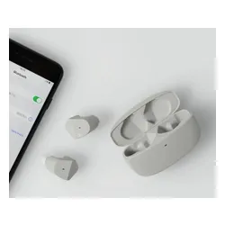 Słuchawki dokanałowe FINAL AUDIO ZE2000 Szary