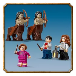 LEGO Harry Potter Yasak Orman: Toplantı Umbridge (75967)