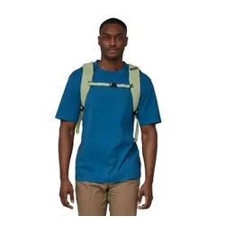 Рюкзак Patagonia Black Hole Pack 25 L-friend green