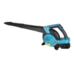 Odkurzacz z funkcją dmuchawy Dedra DED7194V