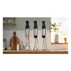 Blender BOSCH ErgoMaster MSM6M652