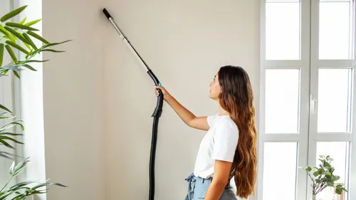 Напольный пылесос Cecotec Conga Powerbag 2000 Compact Plus