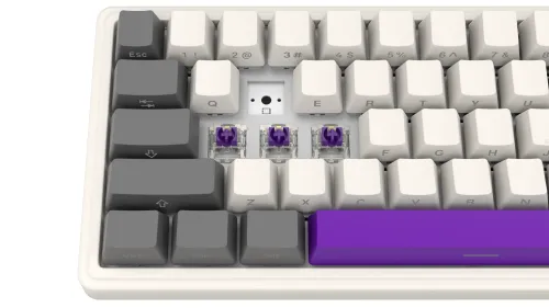 Klawiatura mechaniczna Lorgar KBP70MW Toxic Purple Beżowy