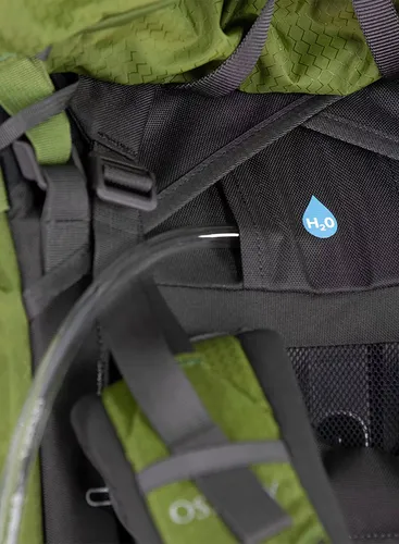 Plecak trekkingowy Osprey Aether 55 - garlic mustard green