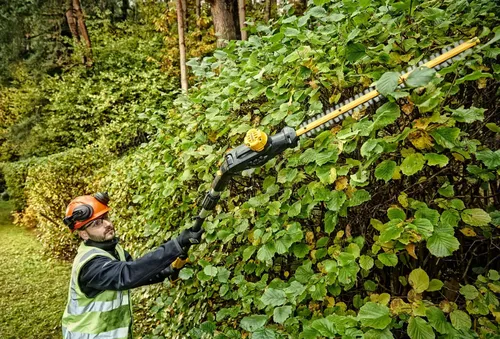 Nożyce do żywopłotu na wysięgniku DeWalt DCMPH566N-XJ