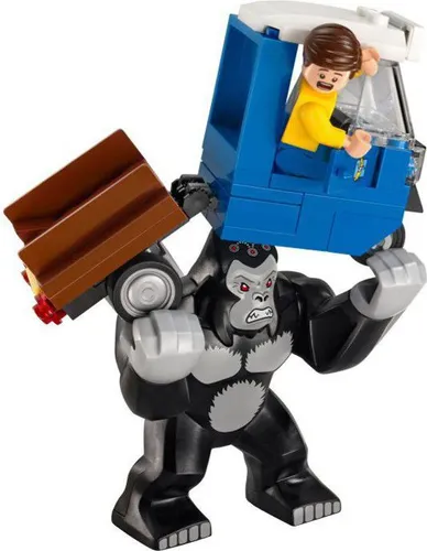 Конструктор Lego DC Super Heroes голодный Гродд (76026)