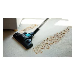 Напольный пылесос Cecotec Conga Powerbag 2000 Compact Plus