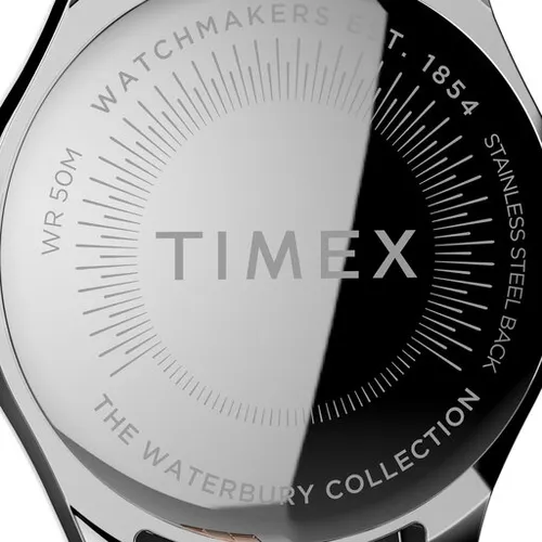 Timex The Waterbury TW2T87000 Silver saati