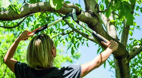 Sekator kowadełkowy dźwigniowy Fiskars PowerGearX (112440)