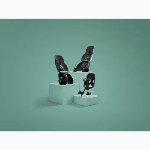Детское велокресло THULE Yepp Nexxt 2 Maxi RM