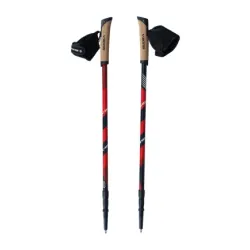 Kije do Nordic Walking Viking Kube PRO