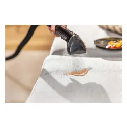 Odkurzacz Bissell PowerWash Pet 3878N