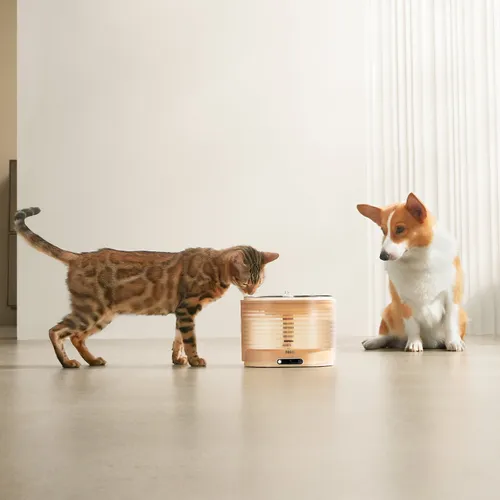 Fontanna dla zwierząt ENABOT Rola Fountain